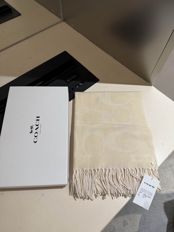 Coach Scarf 195X53cm E36 (24)