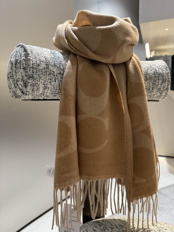 Coach Scarf 195X53cm E36 (29)