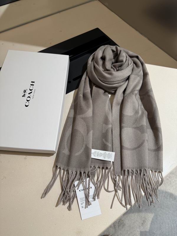 Coach Scarf 195X53cm E36 (3)