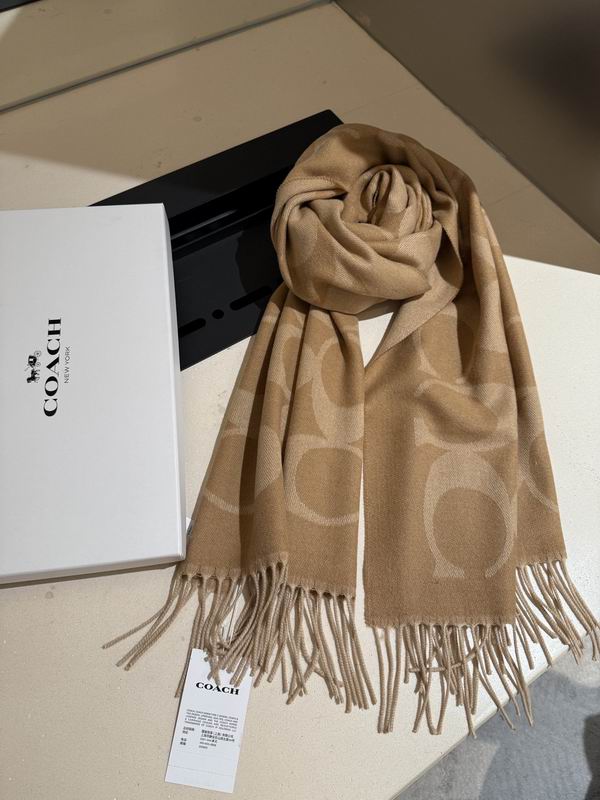 Coach Scarf 195X53cm E36 (30)