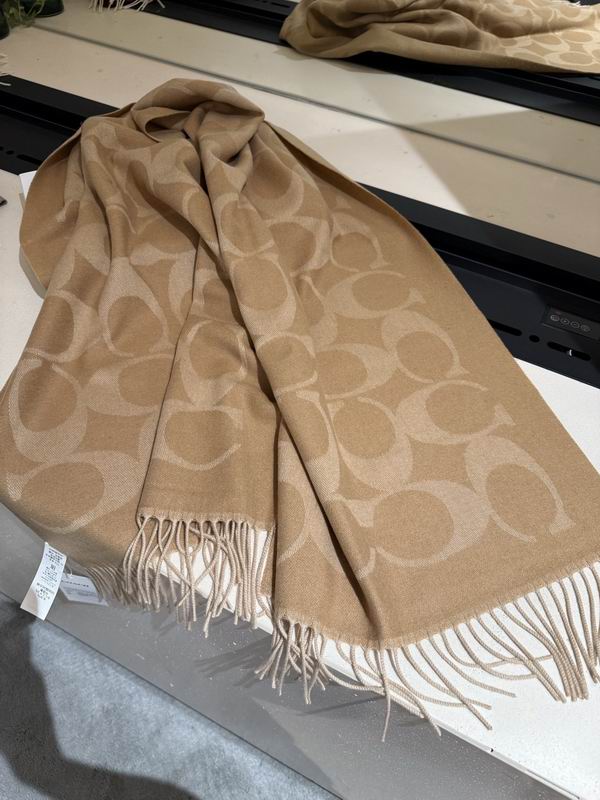 Coach Scarf 195X53cm E36 (31)