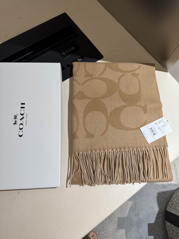Coach Scarf 195X53cm E36 (33)
