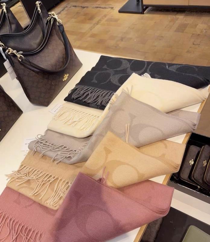 Coach Scarf 195X53cm E36 (34)