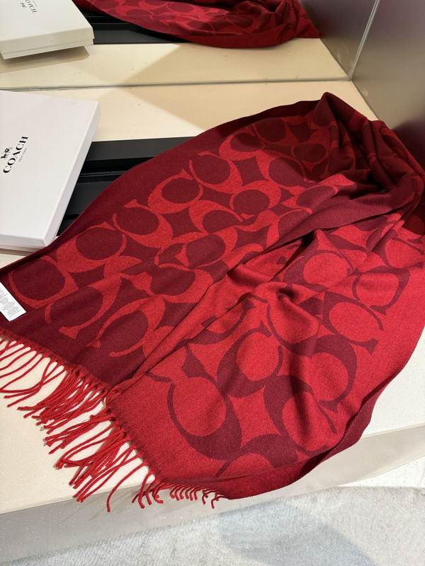 Coach Scarf 195X53cm E36 (38)