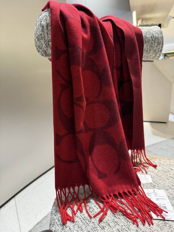 Coach Scarf 195X53cm E36 (39)