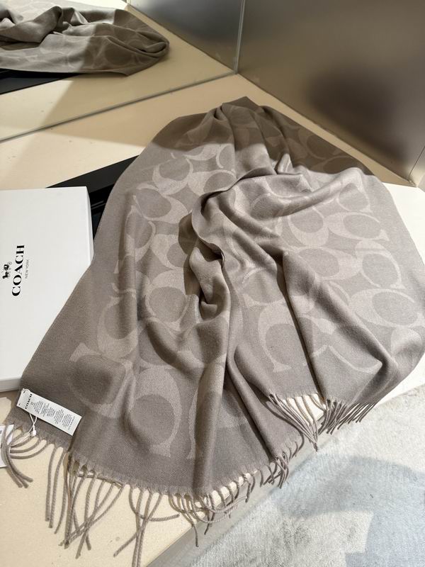 Coach Scarf 195X53cm E36 (4)