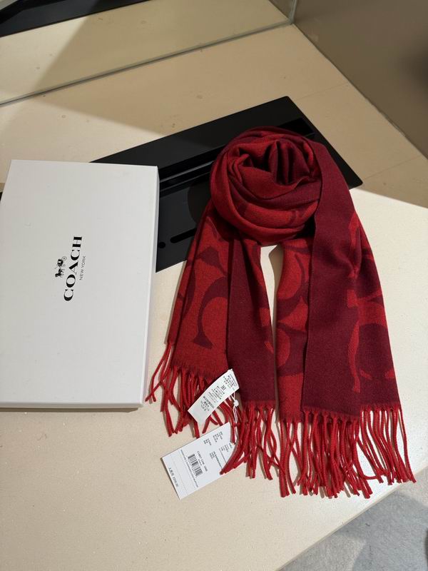Coach Scarf 195X53cm E36 (40)