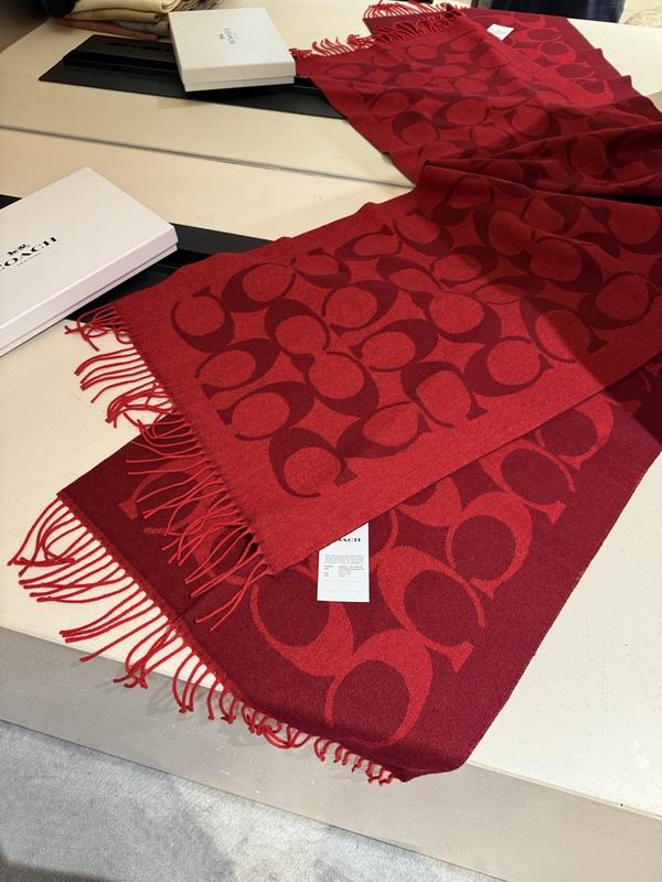 Coach Scarf 195X53cm E36 (41)