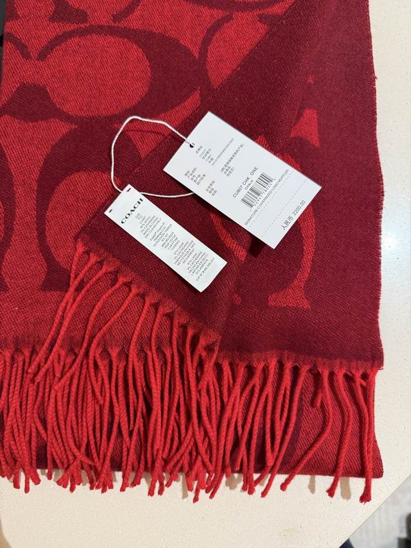Coach Scarf 195X53cm E36 (42)