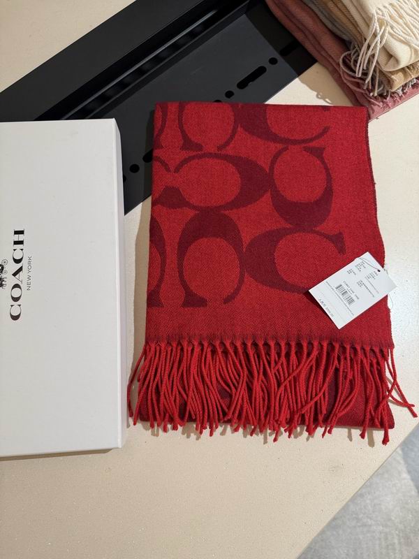 Coach Scarf 195X53cm E36 (43)