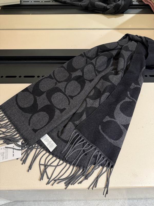 Coach Scarf 195X53cm E36 (47)