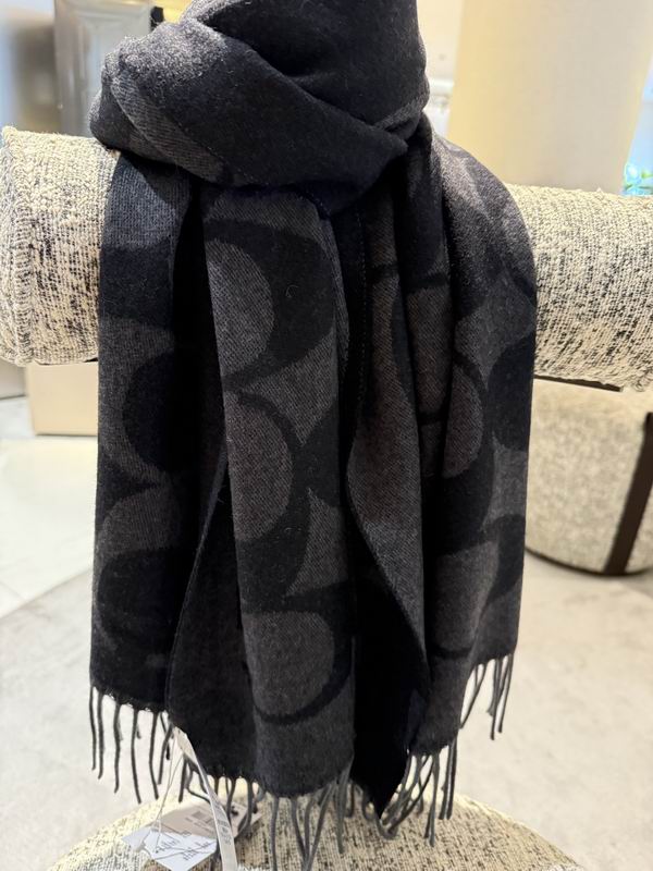 Coach Scarf 195X53cm E36 (48)