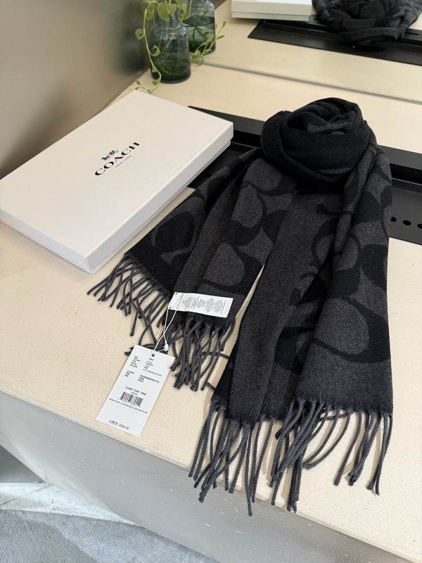 Coach Scarf 195X53cm E36 (49)