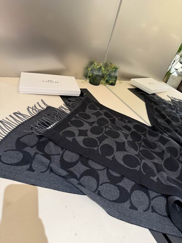 Coach Scarf 195X53cm E36 (50)