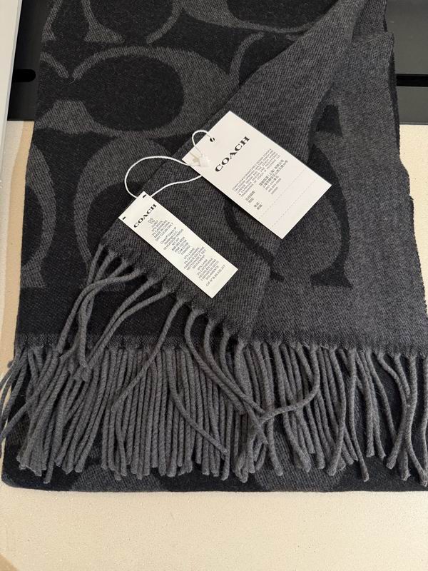 Coach Scarf 195X53cm E36 (51)