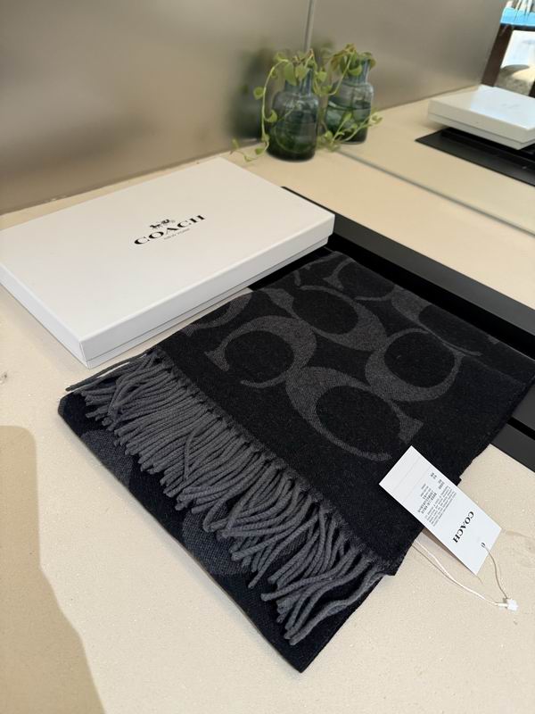 Coach Scarf 195X53cm E36 (52)