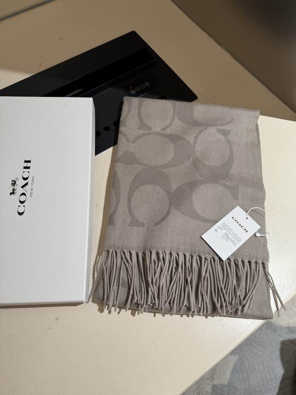 Coach Scarf 195X53cm E36 (6)