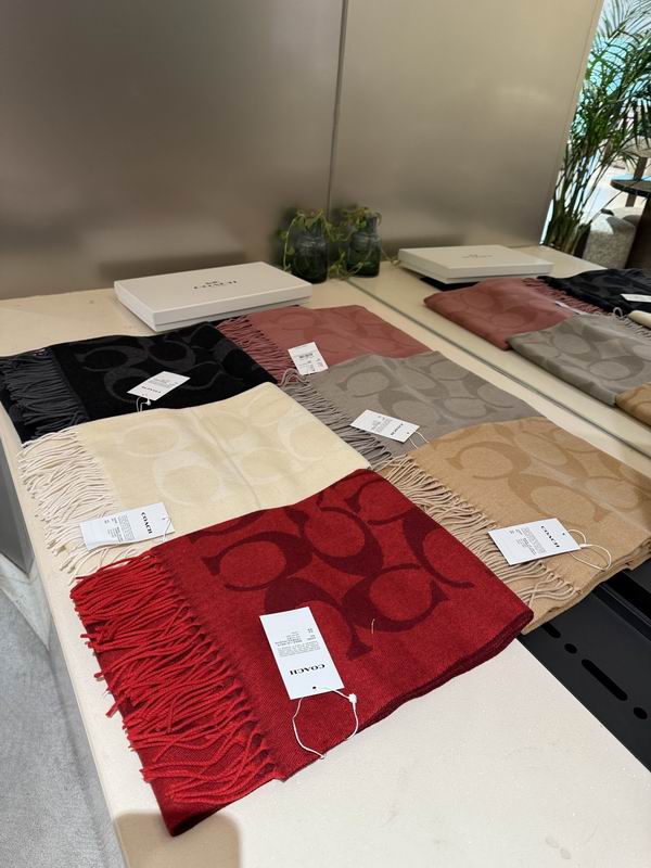 Coach Scarf 195X53cm E36 (7)