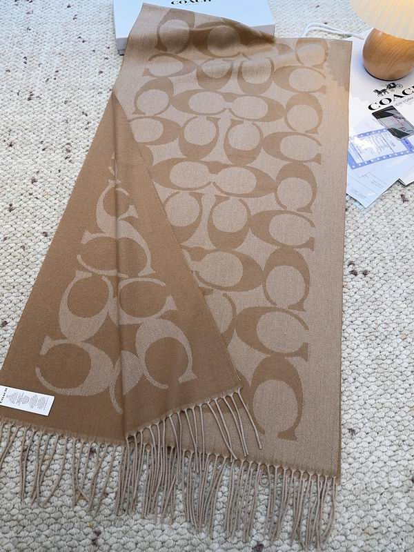 Coach Scarf 48X200cm E09 (10)