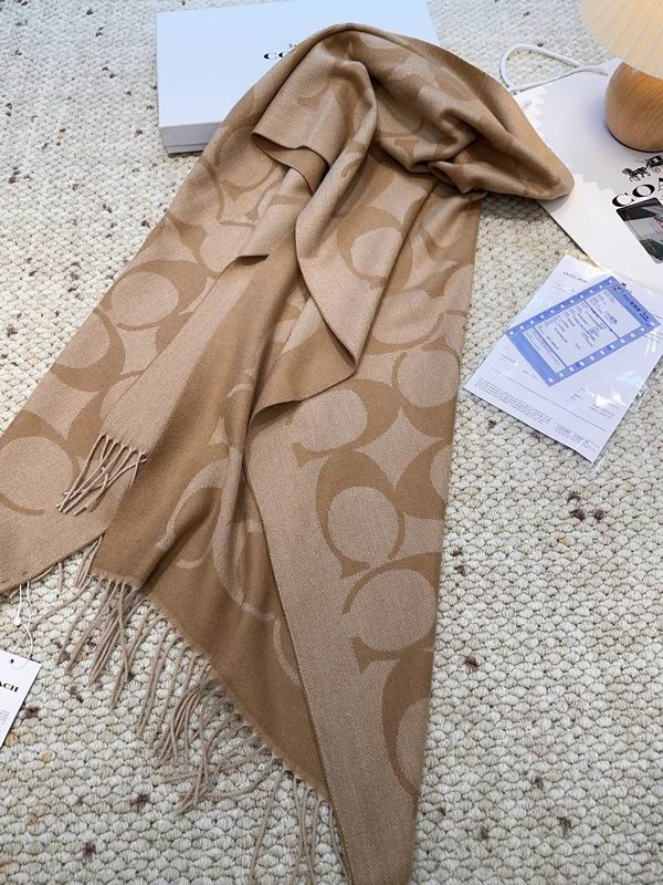 Coach Scarf 48X200cm E09 (11)