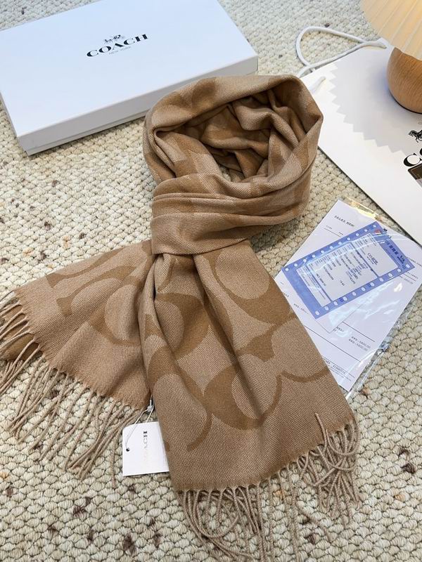 Coach Scarf 48X200cm E09 (12)