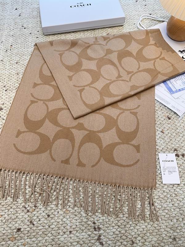 Coach Scarf 48X200cm E09 (13)
