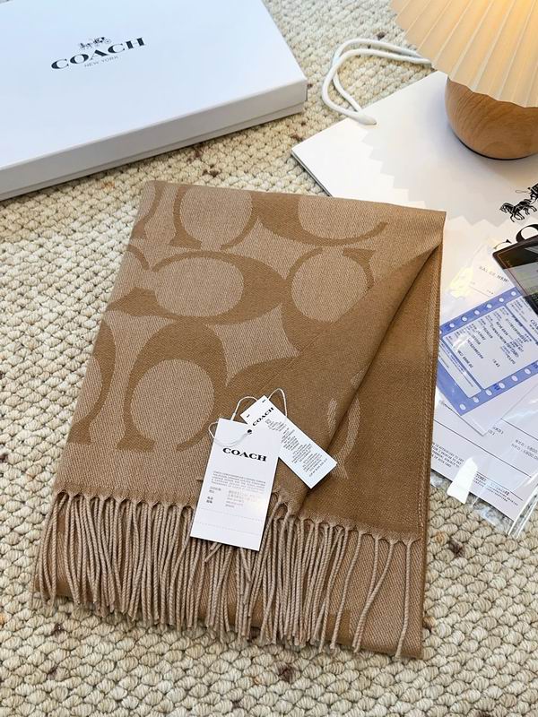 Coach Scarf 48X200cm E09 (14)
