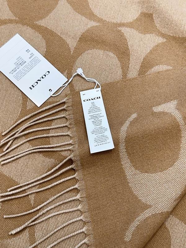 Coach Scarf 48X200cm E09 (15)