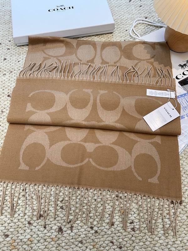 Coach Scarf 48X200cm E09 (16)