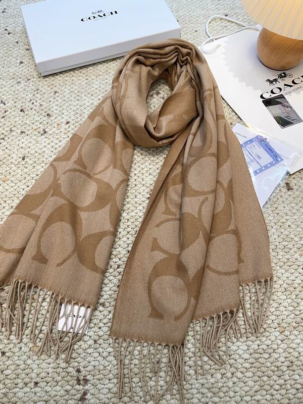 Coach Scarf 48X200cm E09 (17)