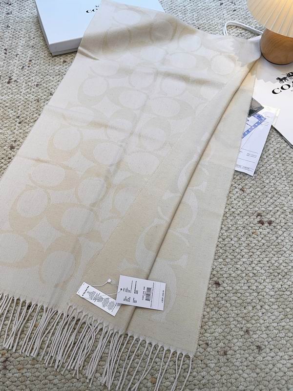 Coach Scarf 48X200cm E09 (19)