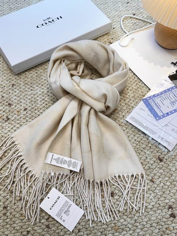 Coach Scarf 48X200cm E09 (21)