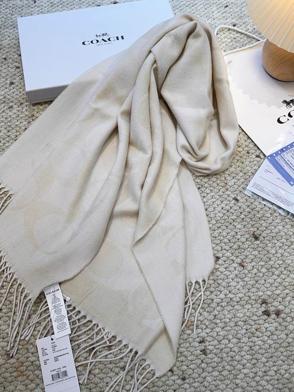Coach Scarf 48X200cm E09 (22)