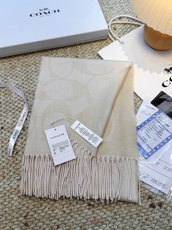 Coach Scarf 48X200cm E09 (23)