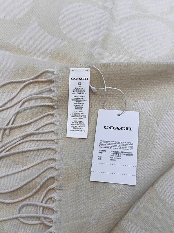 Coach Scarf 48X200cm E09 (24)