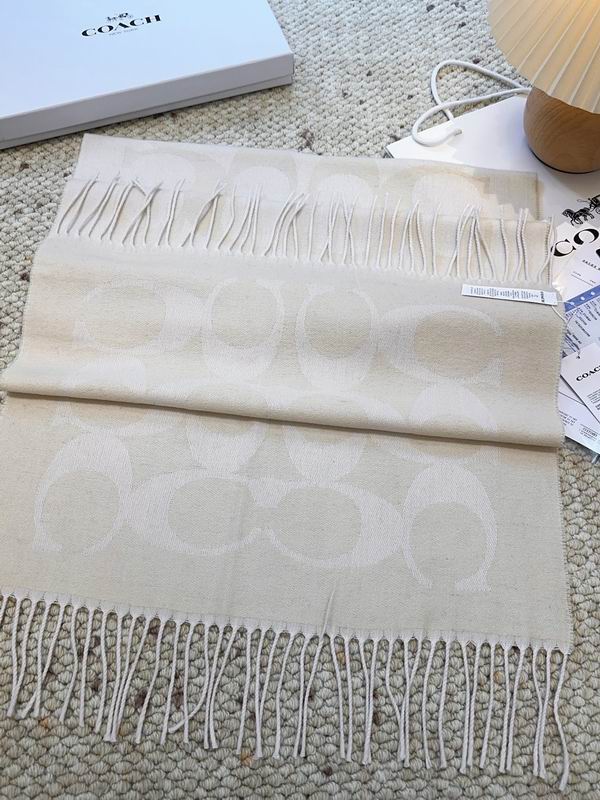 Coach Scarf 48X200cm E09 (25)
