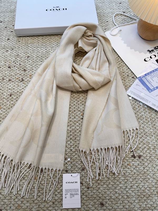 Coach Scarf 48X200cm E09 (26)