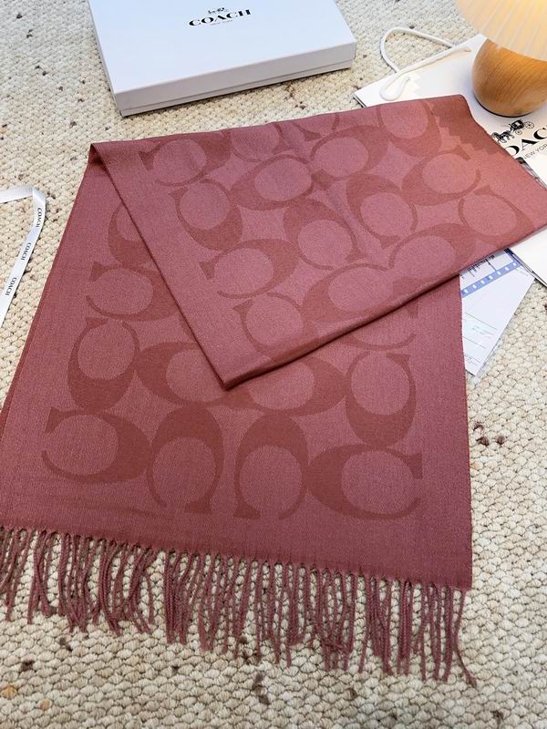 Coach Scarf 48X200cm E09 (29)