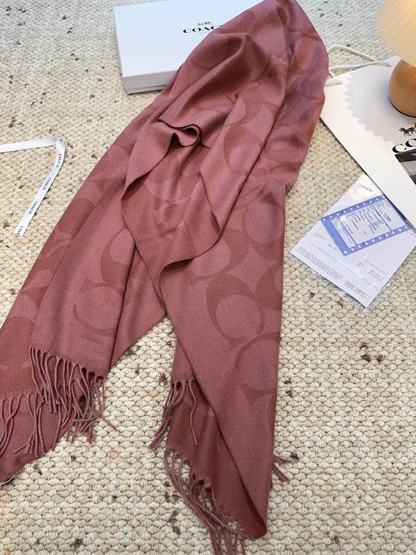 Coach Scarf 48X200cm E09 (31)