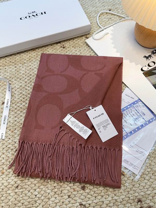 Coach Scarf 48X200cm E09 (32)