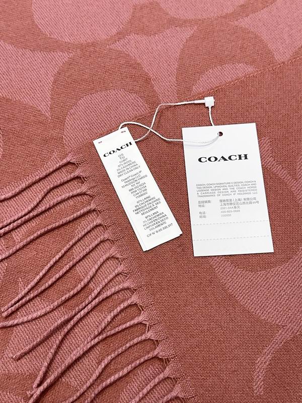 Coach Scarf 48X200cm E09 (33)