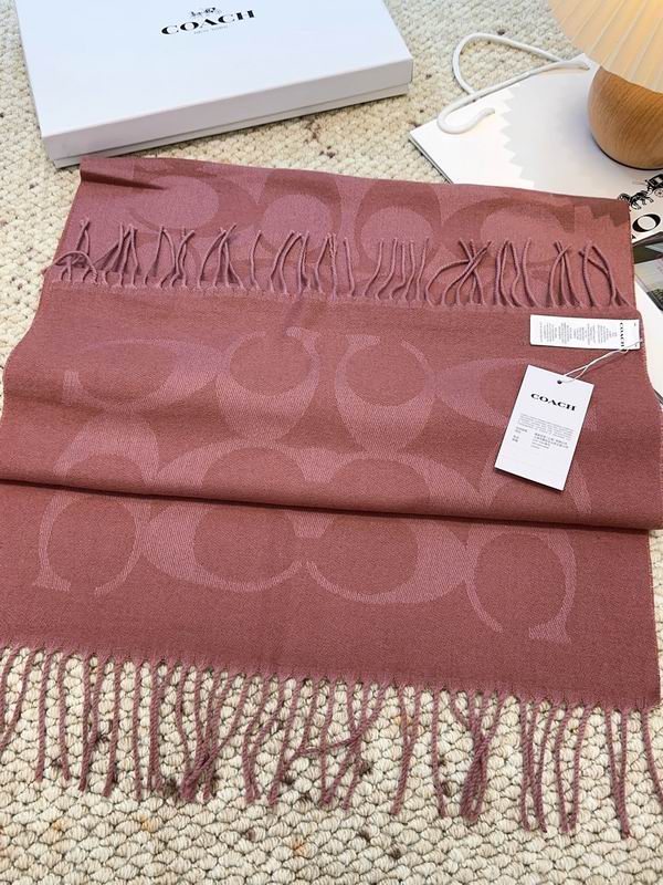 Coach Scarf 48X200cm E09 (34)