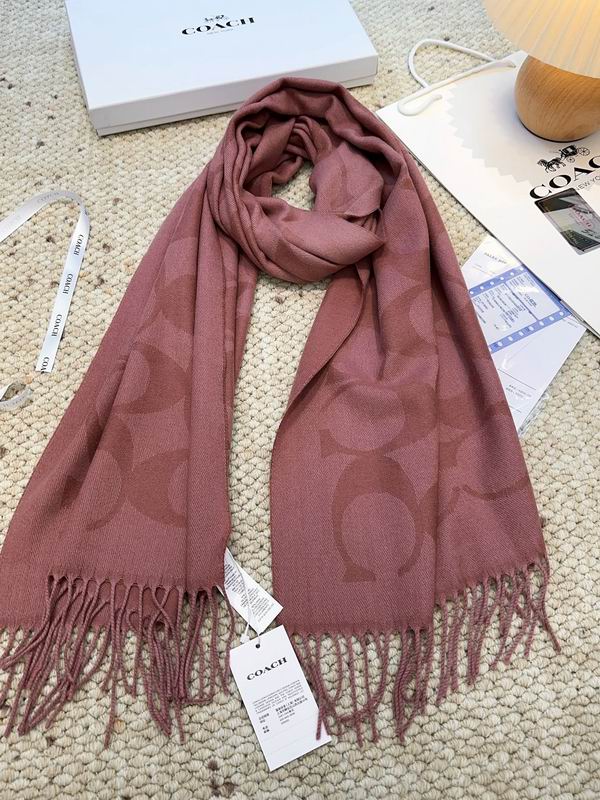 Coach Scarf 48X200cm E09 (35)