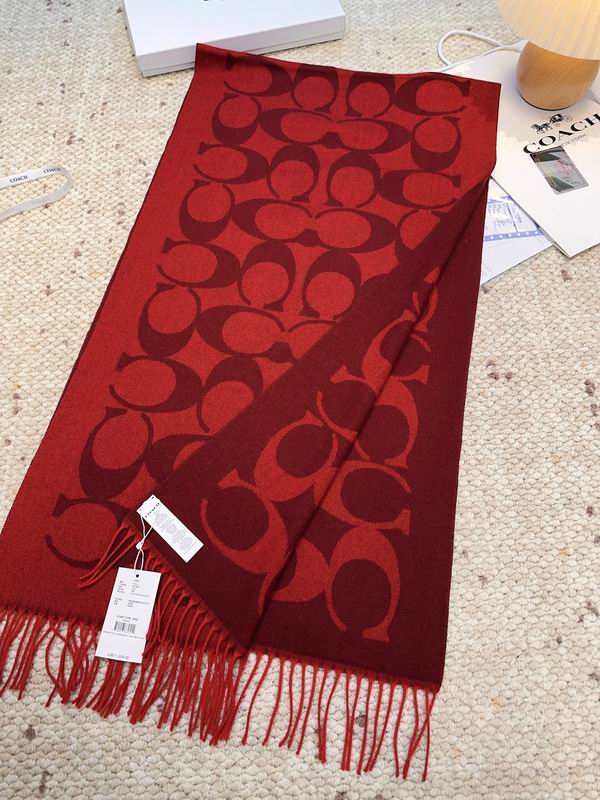 Coach Scarf 48X200cm E09 (38)