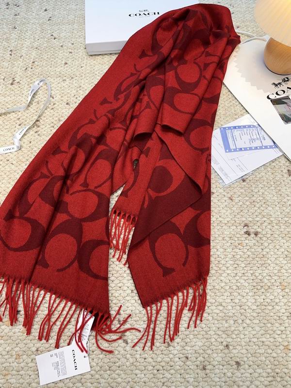 Coach Scarf 48X200cm E09 (40)