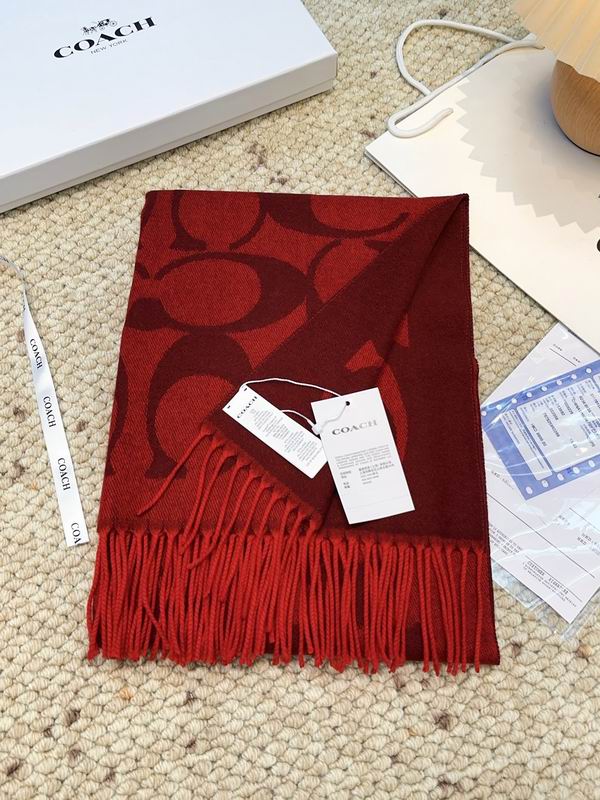 Coach Scarf 48X200cm E09 (41)