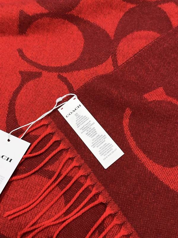 Coach Scarf 48X200cm E09 (42)