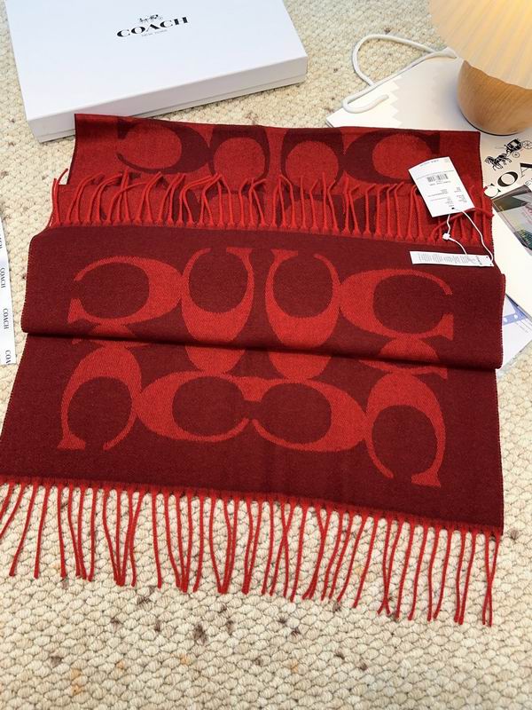 Coach Scarf 48X200cm E09 (43)