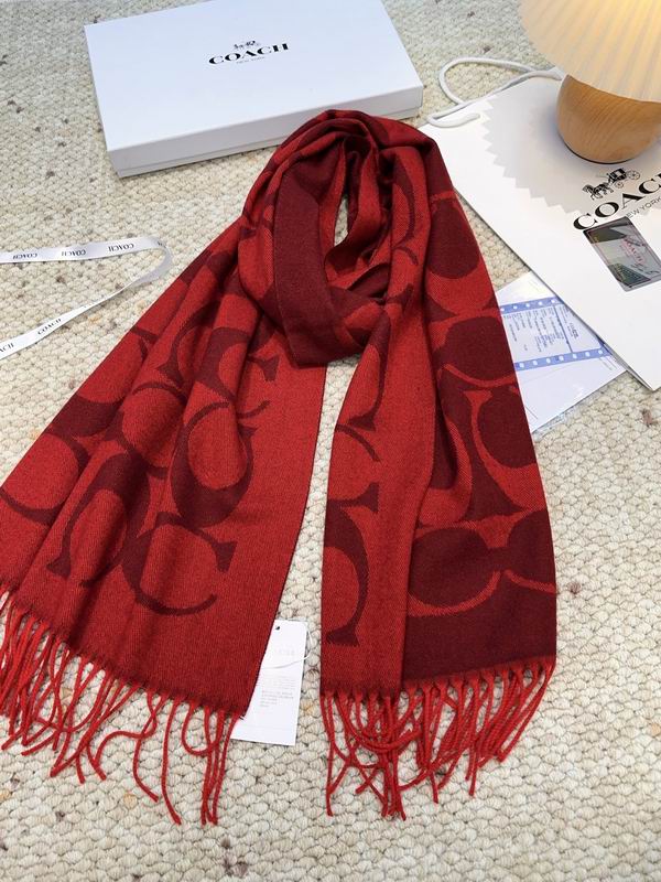 Coach Scarf 48X200cm E09 (44)