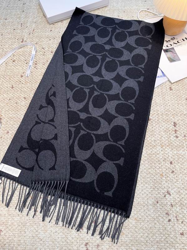 Coach Scarf 48X200cm E09 (47)